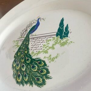 Eggshell nautilus homer Laughlin peacock platter. 1930s. Gold trim. Decor.